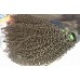 Neat Weft tight Kinky curly 1/2 bundles Raw Virgin Burmese Human Hair Weave natural brown Premium Quality