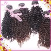 Soft Kinky curly hair 3/4 bundles deal Weaving Raw Virgin Afro Burmese Bouncy Human Hair Weft Accept PayPal 