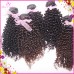 Neat Weft tight Kinky curly 1/2 bundles Raw Virgin Burmese Human Hair Weave natural brown Premium Quality