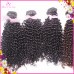 Neat Weft tight Kinky curly 1/2 bundles Raw Virgin Burmese Human Hair Weave natural brown Premium Quality