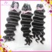 Raw Vietname more waves for bleaching 1 bundle single donor quality testing order